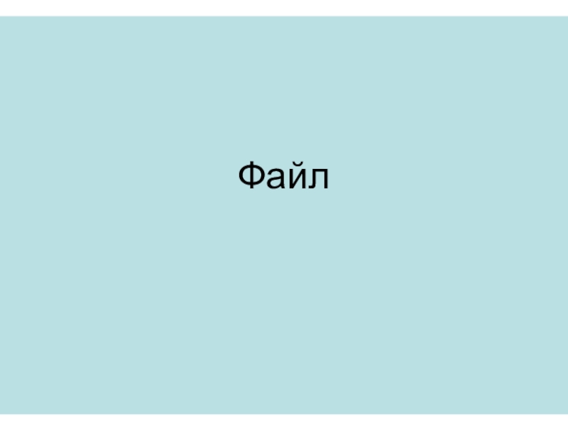 Файл