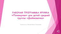 Рабочая программа кружка Почемучки