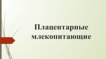 Презентация по биологии на тему: Разнообразие млекопитающих