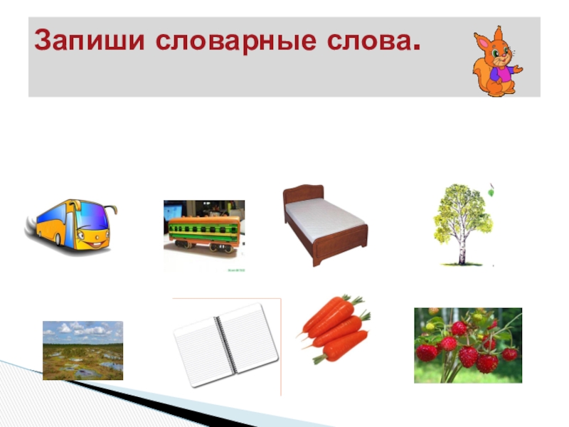 Презентация по русскому языку на тему: Склонение имён существительных. Обобщение. (4 класс) Запиши словарные слова. Запиши словарные слова.