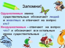 Презентация по русскому языку в сш №189 на тему Имена существительные