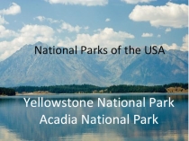 Презентация по английскому языку National parks of the USA:Yellowstone and Acadia park
