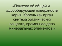 физиология растений