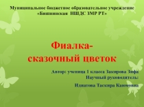 Фиалка-сказочный цветок