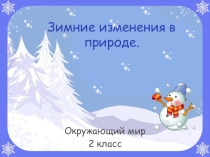Презентация по окружающему миру: Зима в природе 2 класс