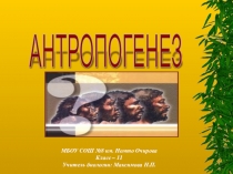 Презентация по биологии к уроку Антропогенез