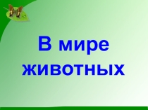 Презентация по биологии на тему В мире животных (7 класс)