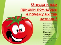 Проект на тему Откуда к нам пришли помидоры и почему их так назвали