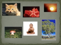 Презентация по окружающему миру Красная книга.Будь природе другом 2 класс