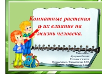 Презентация к исследовательской работе влияние комнатных растений