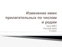Презентация по русскому языку. 3 - 4 класс. Изменение имён прилагательных по родам и числах.