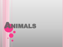 Презентация по английскому языку для начальных классов Animals