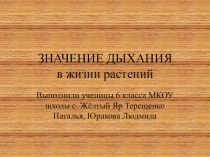 ; Значение дыхания в жизни растений,
