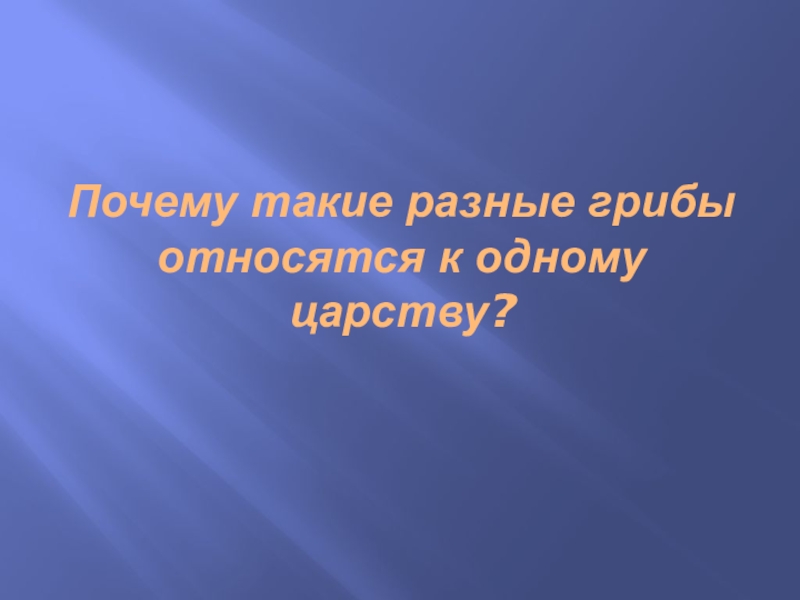 Презентация по биологии на тему Грибы(5 класс) ФГОС Почему такие разные грибы относятся к одному царству? Почему такие разные грибы относятся к одному царству?