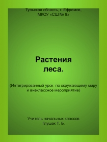 Презентация по окружающему миру на тему Растения леса