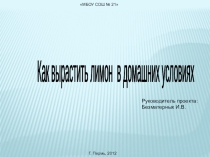 Презентация Как вырастить лимон в домашних условиях