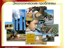 Презентация по географии11 класс на тему Экологические проблемы