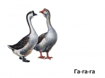 Презентация по обучению чтению на тему Согласные буквы Г, г