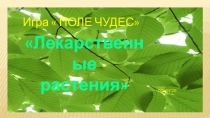 Презентация по кубановедению Поле чудес