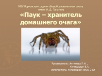 Научно-исследовательская работа Паук-хранитель очага