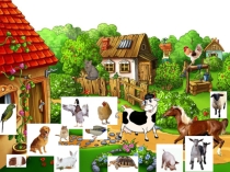 Презентация по английскому языку My pet