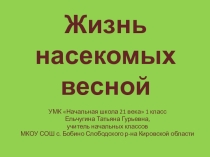 Презентация по окружающему миру на тему Жизнь насекомых весной (1 класс)