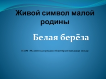 Презентация Живой символ малой родины. Берёзка