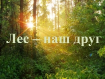 Презентация к уроку окружающего мира