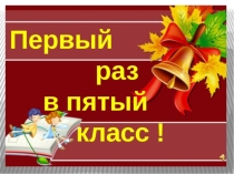 2016-2017 учебный год 5 класс