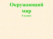 План конспект урока на тему Лес и человек