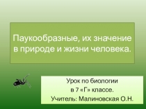 Паукообразные, их значение в природе и жизни человека.