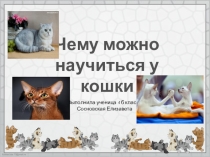 Воспитательная работа. Проектная деятельность