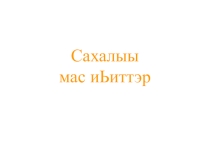 Презентация по технологии Мас иЬиттэр