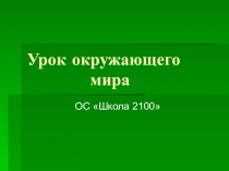 Презентация по окружающему миру на тему:Потребители и разрушители. Экосистемы леса(3 класс)