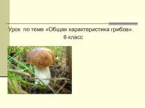 Презентация Общая характеристика грибов
