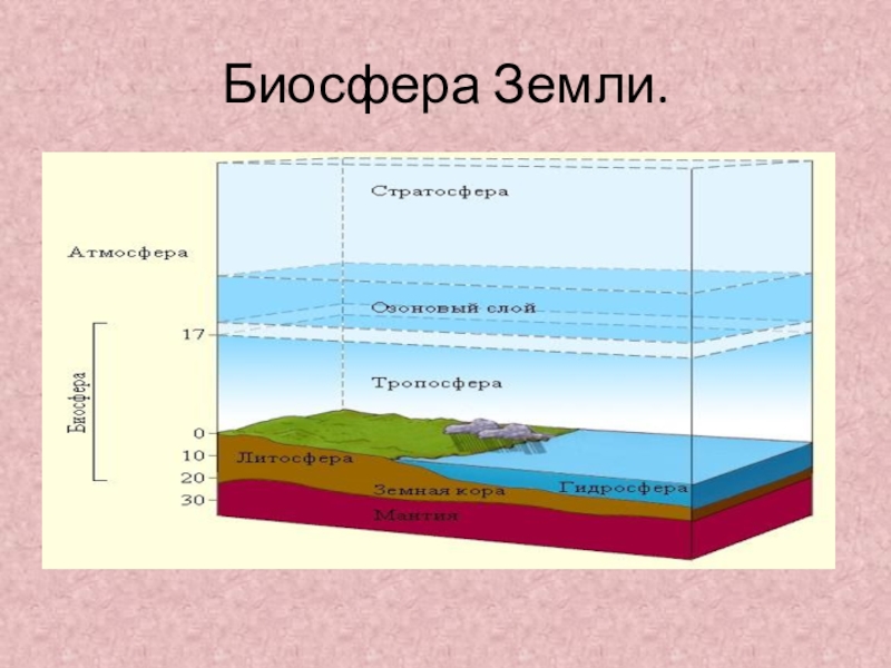 Презентация к уроку окружающий мир 3 класс. Тема Как нам жить в дружбе с природой Биосфера Земли. Биосфера Земли.