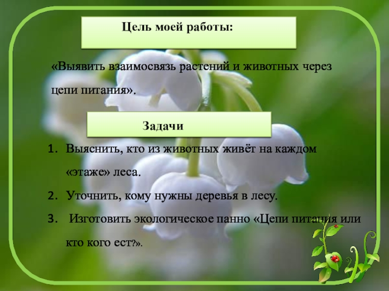 Презентация творческого проекта Лес Югры и его обитатели «Выявить взаимосвязь растений и животных через цепи питания». «Выявить взаимосвязь растений и животных через цепи питания». Цель моей