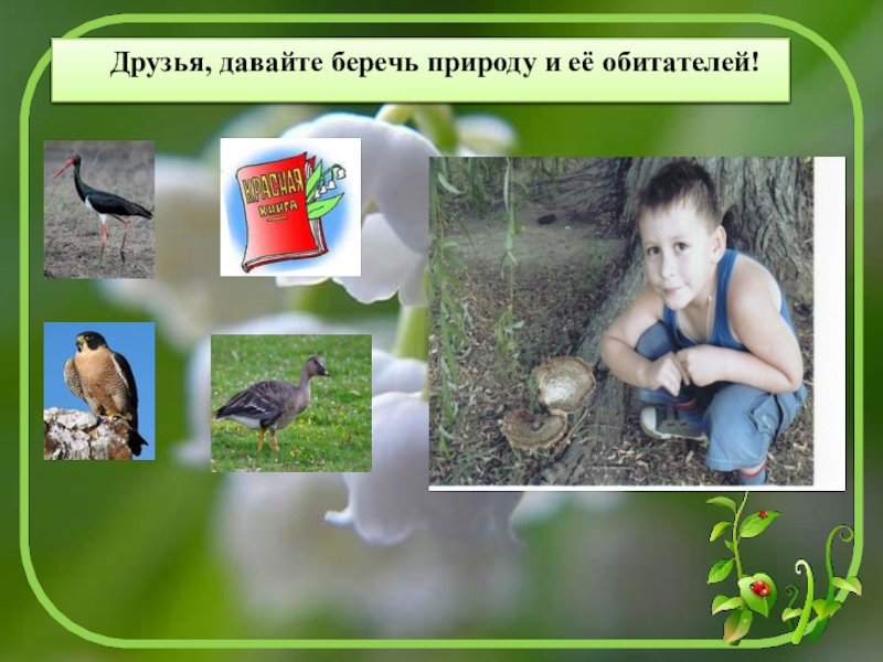 Презентация творческого проекта Лес Югры и его обитатели Друзья, давайте беречь природу и её обитателей! Друзья, давайте беречь природу и её обитателей!