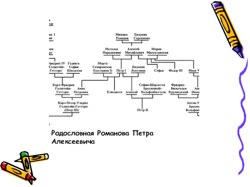 Презентация по истории на тему Петр 1 Эпоха преобразований ( 8 класс) Родословная Романова Петра Алексеевича Родословная Романова Петра Алексеевича