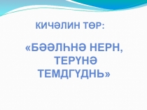 Презентация по калмыцкому языку на тему Имя существительное и его признаки