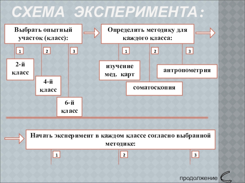 Презентация г. Алатырь_10кл_А.А. Сапарова СХЕМА ЭКСПЕРИМЕНТА:Выбрать опытный участок (класс):12-й класс24-й класс36-й классОпределить методику для каждого СХЕМА ЭКСПЕРИМЕНТА:Выбрать опытный участок (класс):12-й класс24-й класс36-й классОпределить методику для каждого класса:изучение мед. карт1соматоскопия23антропометрияНачать эксперимент в каждом