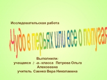 Презентация .Исследовательская работа Чудо в перьях или все о попугаях