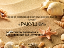 Презентация в старшей группе на тему  Ракушки