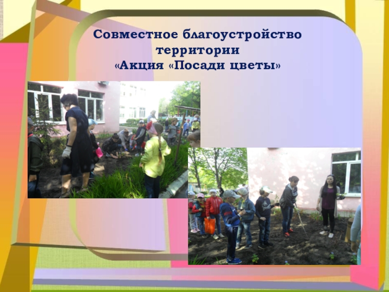 Презентация Вовлечение родителей в жизнь ДОУ Создание группового центра «занимательная математика»Совместное благоустройство территории«Акция «Посади цветы» Создание группового центра «занимательная математика»Совместное благоустройство территории«Акция «Посади цветы»