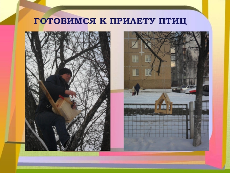 Презентация Вовлечение родителей в жизнь ДОУ «Пентамимо»ГОТОВИМСЯ К ПРИЛЕТУ ПТИЦ «Пентамимо»ГОТОВИМСЯ К ПРИЛЕТУ ПТИЦ