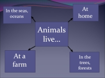 Презентация по английскому языку на тему  Animals in our life