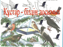 Құстар біздің досымыз