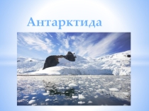 Презентация по географии на тему Антарктида (7 класс)