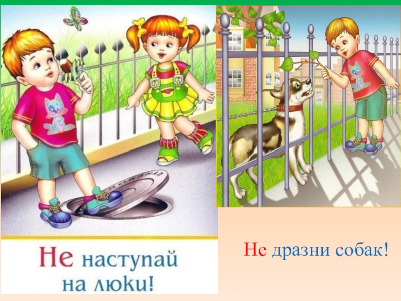 Презентация Правила безопасности для детей 1класс Не дразни собак!