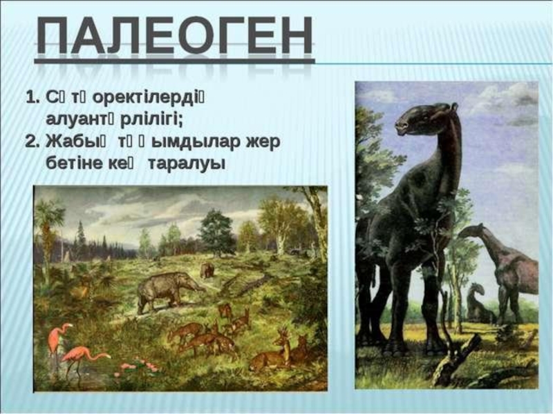 по биологии на тему жердің даму тарихы